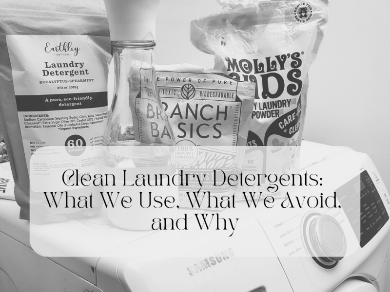 Clean Laundry Detergents: What We Use, What We Avoid, and&nbsp;Why