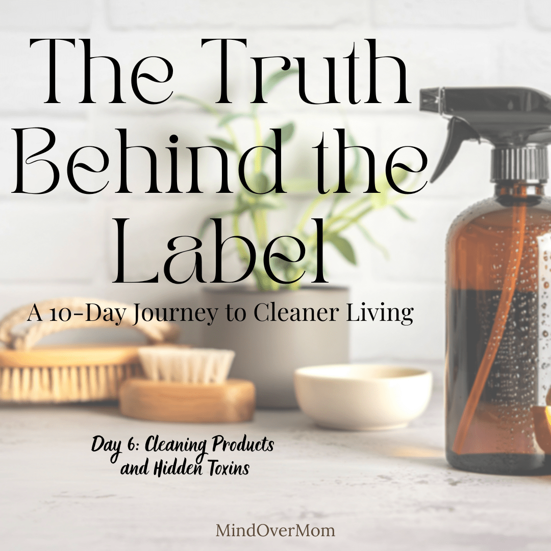 Day 6: Cleaning Products and Hidden&nbsp;Toxins