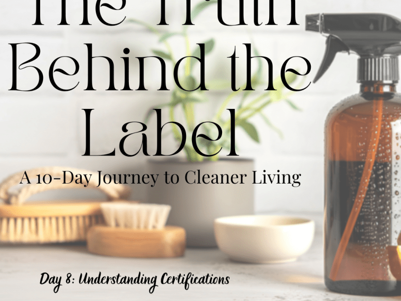 Day 8: Understanding&nbsp;Certifications